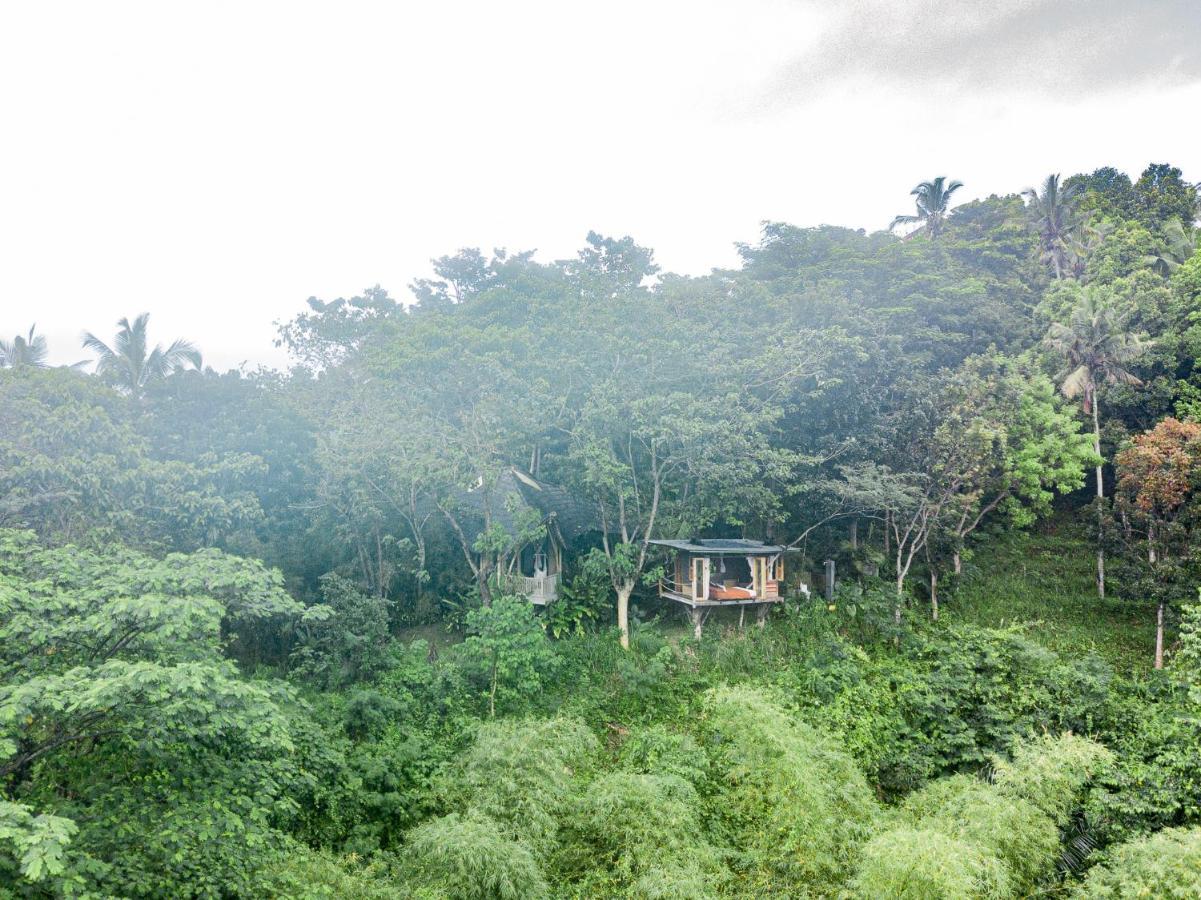 Vila Bird Hills Bamboo House Karangasem Exteriér fotografie